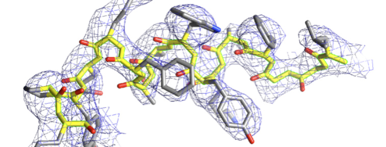 Cryo-EM structure